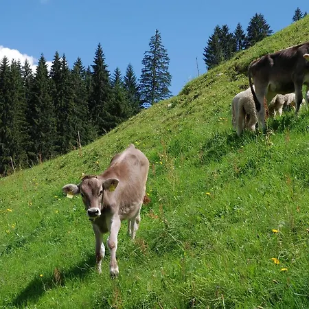 Bohemia Appartamento Gargellen